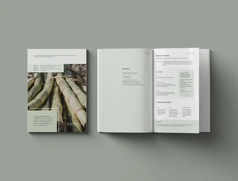 Ayres Britto - One Page Diversas