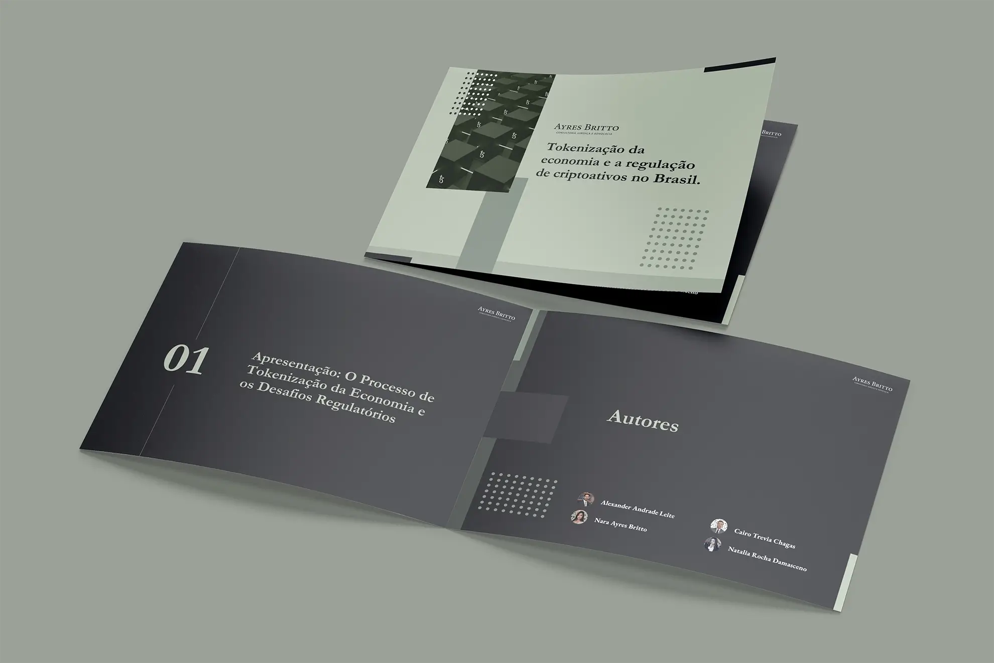 Ayres Britto - One Pages - Peças Jurídicas 4